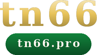 tn66 logo